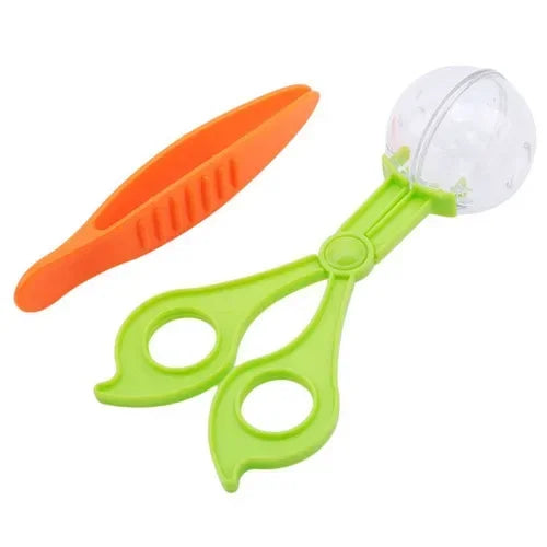 Montessori Wooden Toys Color Cognition Clip Beads Matching Clamp Bee House Trap Game Early Educational Toys Gift for Children