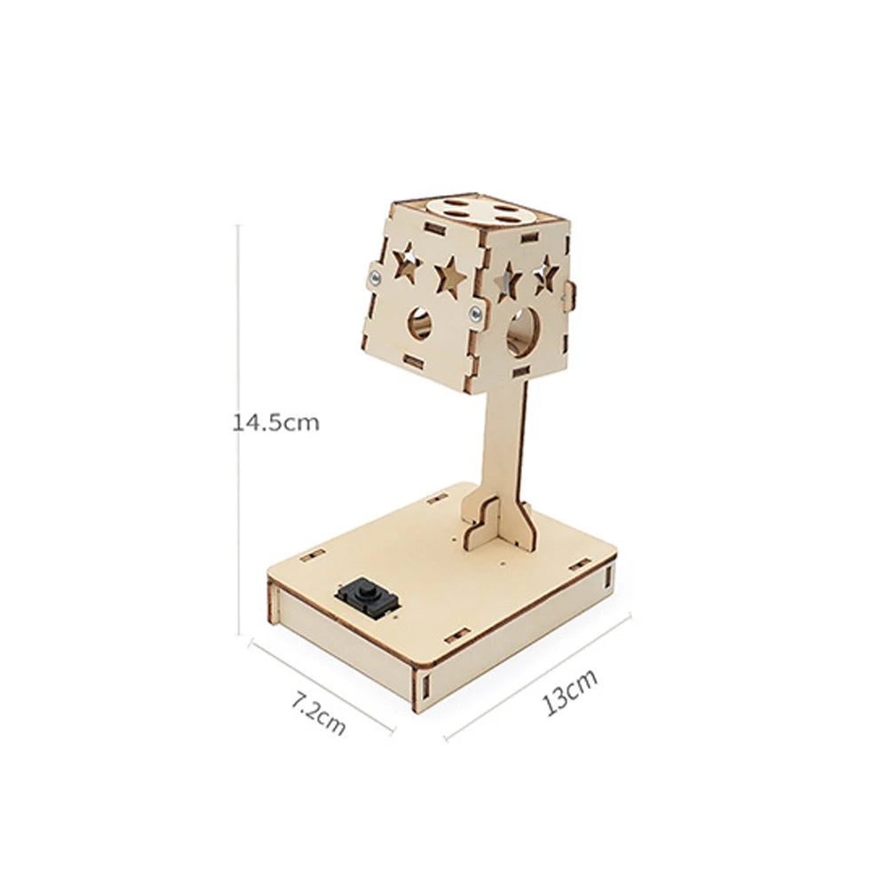 STEM DIY Photosensitive Control Desk Lamp Handmade Model, Children Hands-on Science Class Making Kit, Educational Invention