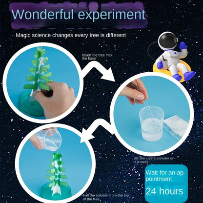 DIY Growing Christmas Tree & Cherry Blossom Tree, Educational Science Toy, Perfect Gift for Back-to-School, Halloween, Christmas
