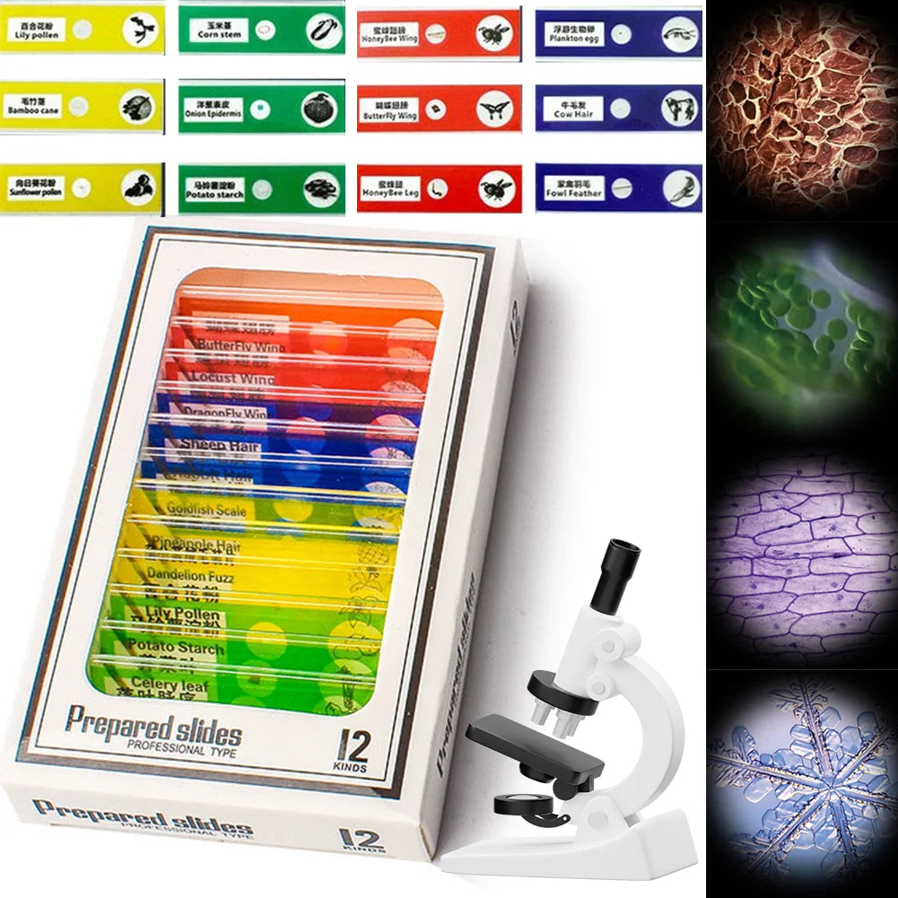 Kid Science Experiment Pocket Microscope with LED Light 60-120x Battery Powered Home School Biological Science Educational Toys